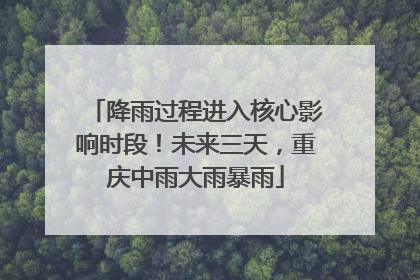 降雨过程进入核心影响时段！未来三天，重庆中雨大雨暴雨