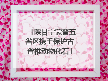 陕甘宁蒙晋五省区携手保护古脊椎动物化石
