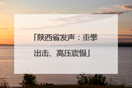 陕西省发声：重拳出击、高压震慑