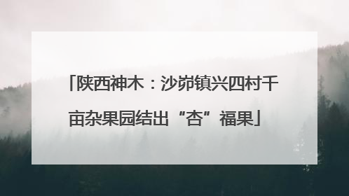 陕西神木：沙峁镇兴四村千亩杂果园结出“杏”福果