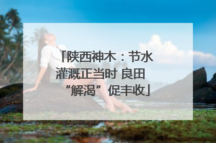 陕西神木：节水灌溉正当时 良田“解渴”促丰收