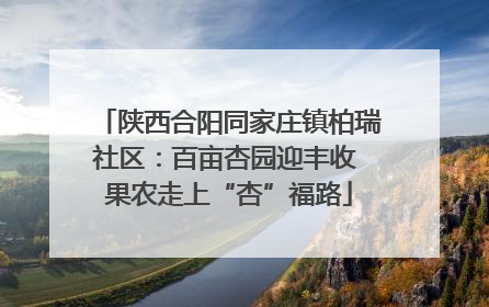 陕西合阳同家庄镇柏瑞社区：百亩杏园迎丰收 果农走上“杏”福路