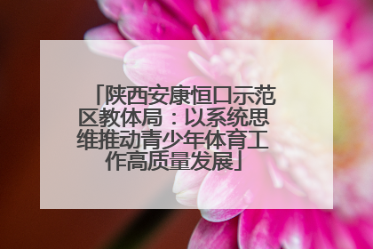 陕西安康恒口示范区教体局：以系统思维推动青少年体育工作高质量发展