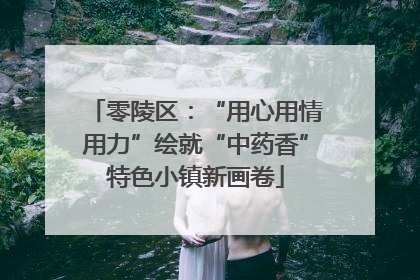 零陵区：“用心用情用力”绘就“中药香”特色小镇新画卷