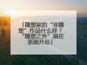 雕塑家的“非雕塑”作品什么样？“雕塑之外”展在浙图开幕