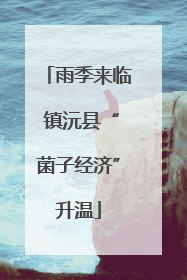 雨季来临 镇沅县“菌子经济”升温