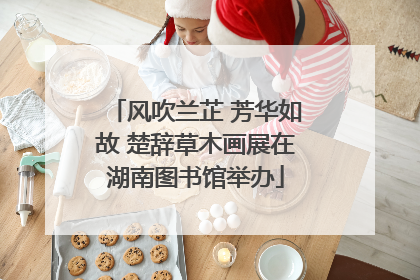 风吹兰芷 芳华如故 楚辞草木画展在湖南图书馆举办