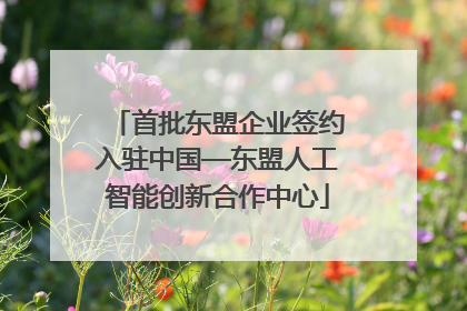 首批东盟企业签约入驻中国—东盟人工智能创新合作中心