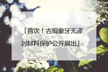 首次！古蜀象牙无灌封材料保护公开展出