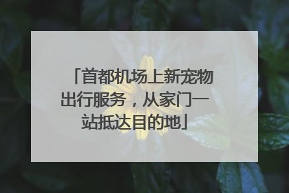 首都机场上新宠物出行服务，从家门一站抵达目的地