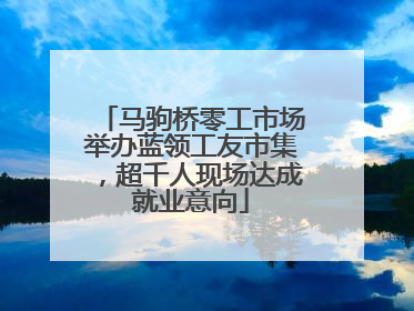 马驹桥零工市场举办蓝领工友市集，超千人现场达成就业意向