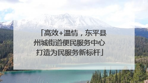 高效+温情，东平县州城街道便民服务中心打造为民服务新标杆