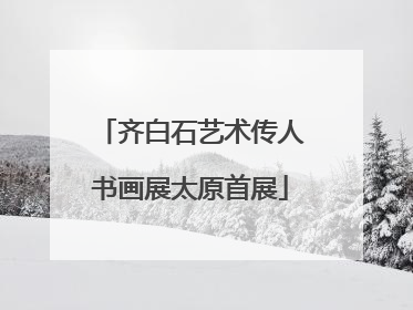 齐白石艺术传人书画展太原首展