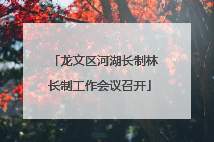 龙文区河湖长制林长制工作会议召开