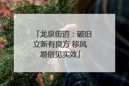 龙泉街道：破旧立新有良方 移风易俗见实效