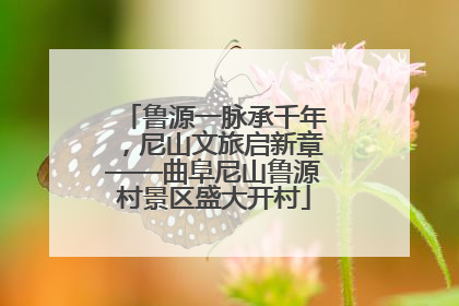 鲁源一脉承千年，尼山文旅启新章——曲阜尼山鲁源村景区盛大开村
