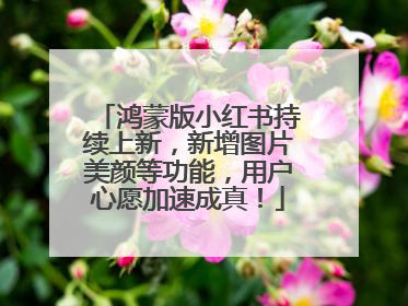 鸿蒙版小红书持续上新，新增图片美颜等功能，用户心愿加速成真！