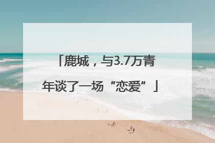 鹿城，与3.7万青年谈了一场“恋爱”