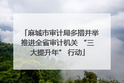 麻城市审计局多措并举推进全省审计机关 “三大提升年” 行动