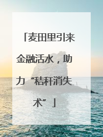 麦田里引来金融活水，助力“秸秆消失术”