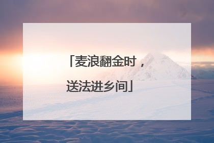 麦浪翻金时，送法进乡间