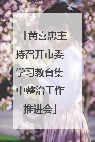 黄喜忠主持召开市委学习教育集中整治工作推进会