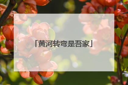 黄河转弯是吾家