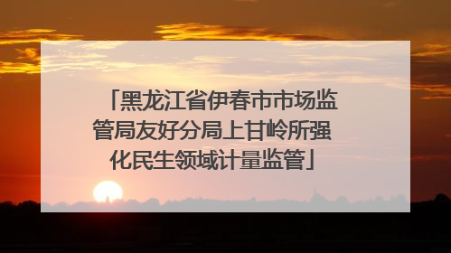 黑龙江省伊春市市场监管局友好分局上甘岭所强化民生领域计量监管
