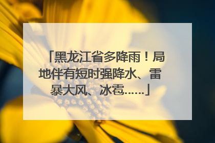 黑龙江省多降雨！局地伴有短时强降水、雷暴大风、冰雹……