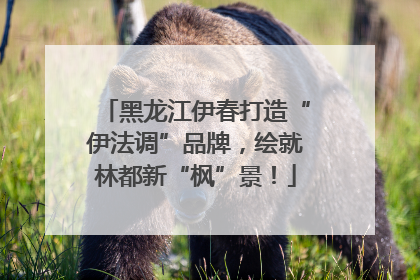 黑龙江伊春打造“伊法调”品牌，绘就林都新“枫”景！
