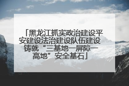 黑龙江抓实政治建设平安建设法治建设队伍建设 铸就“三基地一屏障一高地”安全基石