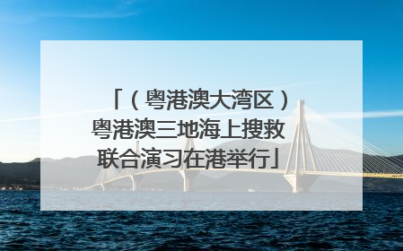 （粤港澳大湾区）粤港澳三地海上搜救联合演习在港举行
