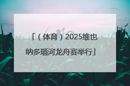 （体育）2025维也纳多瑙河龙舟赛举行