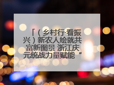 （乡村行·看振兴）新农人绘就共富新图景 浙江庆元统战力量赋能“海拔经济”