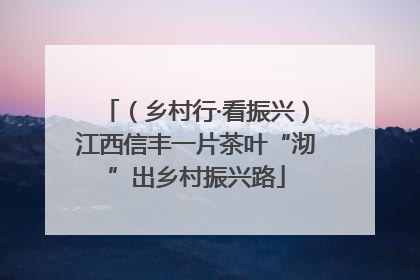 （乡村行·看振兴）江西信丰一片茶叶“沏”出乡村振兴路