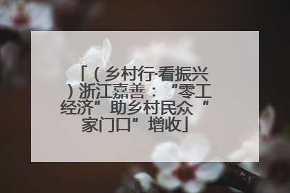 （乡村行·看振兴）浙江嘉善：“零工经济”助乡村民众“家门口”增收