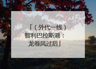 （外代一线）智利巴拉斯港：龙卷风过后