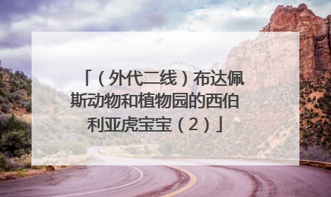 （外代二线）布达佩斯动物和植物园的西伯利亚虎宝宝（2）