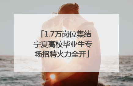1.7万岗位集结 宁夏高校毕业生专场招聘火力全开
