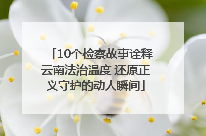 10个检察故事诠释云南法治温度 还原正义守护的动人瞬间