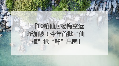 10箱仙居杨梅空运新加坡！今年首批“仙梅”抢“鲜”出国
