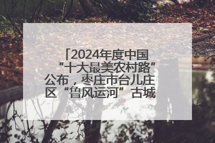 2024年度中国“十大最美农村路”公布，枣庄市台儿庄区“鲁风运河”古城文化廊道上榜！