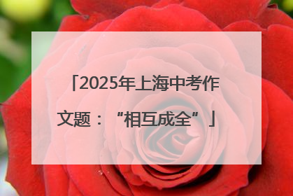 2025年上海中考作文题：“相互成全”