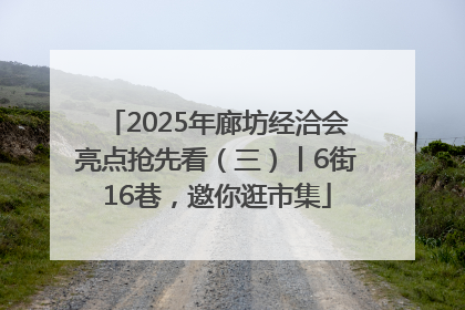 2025年廊坊经洽会亮点抢先看（三）丨6街16巷，邀你逛市集