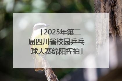 2025年第二届四川省校园乒乓球大赛绵阳挥拍
