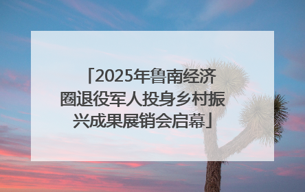 2025年鲁南经济圈退役军人投身乡村振兴成果展销会启幕