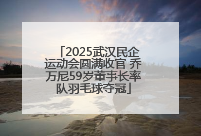 2025武汉民企运动会圆满收官 乔万尼59岁董事长率队羽毛球夺冠