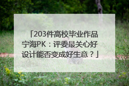203件高校毕业作品宁海PK：评委最关心好设计能否变成好生意？
