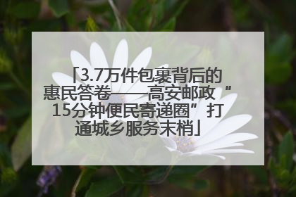 3.7万件包裹背后的惠民答卷——高安邮政“15分钟便民寄递圈”打通城乡服务末梢