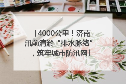 4000公里！济南汛前清淤“排水脉络”，筑牢城市防汛网